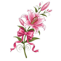 pink lily flower