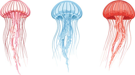 Jellyfish illustration, marine life artwork, ocean creatures, underwater design, colorful tentacles, sea animals, aquatic theme, fantasy ocean art, vibrant jellyfish