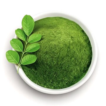 Illustration of moringa powder in a bowl with fresh leaves isolated on white background
