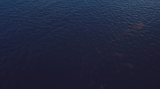 island bacardi in the caribean cayo levantado 4k 3
