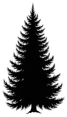 Fototapeta premium Black silhouette of a tall evergreen pine tree isolated on white background