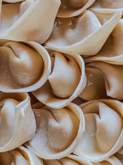 Raw Chicken Wonton Filling Wrapped in Dumpling Skins