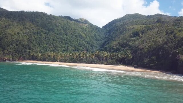 paradise virgine beach in the caribbean with mountains palms tree and waves 4k 24fps