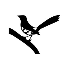 cute, animal, cartoon, image, design, vector, illustration, art, pet, bird, isolated, graphic, background, nature, drawing