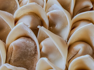 Raw Chicken Wonton Filling Wrapped in Dumpling Skins