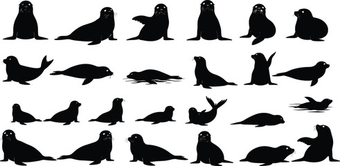 Black seal silhouettes in various poses, swimming, resting, and playful, isolated vector animals, marine wildlife, ocean creatures, sea mammals on white background.