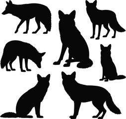 Black wolf silhouettes in various poses, wild animal shapes, nature wildlife illustrations, isolated on white background, forest animals, vector set
