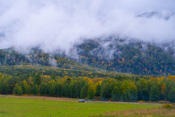 Obraz premium A silver SUV driving across a bright green meadow at the edge of a dense mixed forest with vibrant autumn colors, with low clouds obscuring the mountain top.