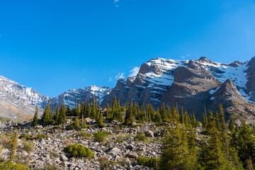 Wide shot looking up at sheer, snow-capped mountain peaks towering above a field of boulders and a dense growth of tall, dark green pine trees.