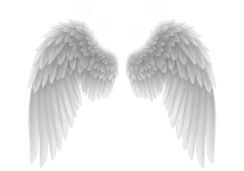 High resolution angel wings feathered wings heavenly wings angelic wings flying wings graphic wings isolated on transparent background