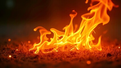 The passionate and fantastic scene of the flame cluster