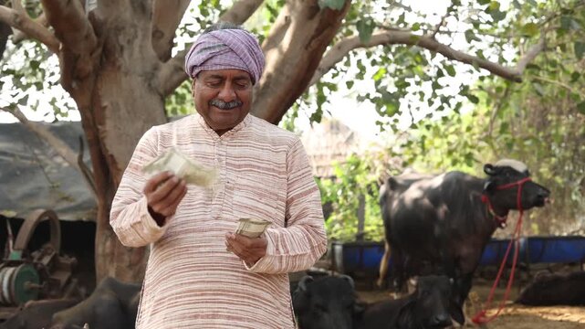 Rural indian dairy farmer counting money, earning and profits, Cattle Farming industry, Successful cow milk business. India economy