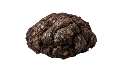 Elephant dung with plant fibers and seeds on the transparent background isolated closeup nature conservation concept