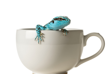 Small blue lizard climbing out of a white coffee cup isolated on transparent background