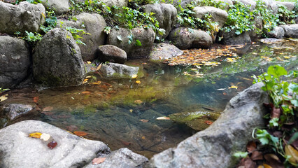 Autumn stream with colorful fallen leaves and natural stones