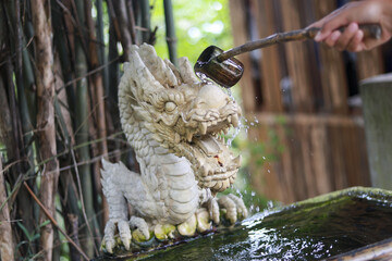Hand pouring water from ladle over stone dragon statue for purification ritual at serene shrine in Japan. This traditional ceremony at temple fountain offers moment of peace