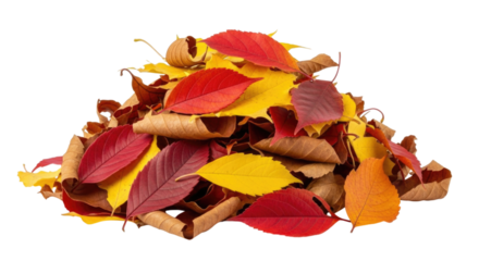 Pile of autumn leaves transparent background cutout png