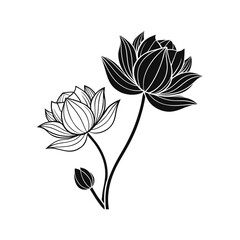 Stylized lotus flowers and bud in black and white line art design element