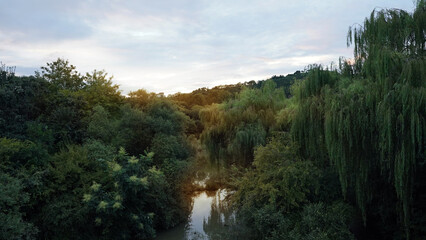 Peaceful forest park creek bathed in warm sunset light