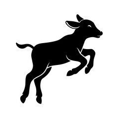 Playful young calf jumping in a black silhouette