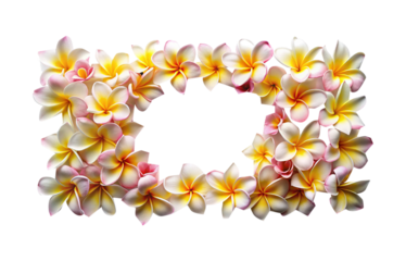 A floral frame of plumeria flowers with a blank center space for text