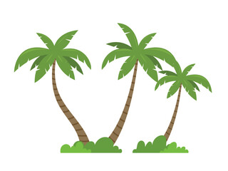 Palm tree or coconut tree with grass illustration