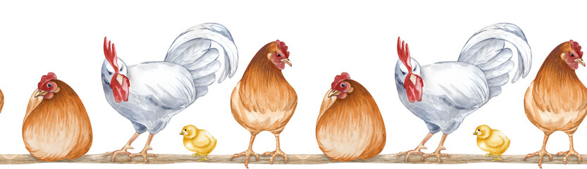 Watercolor seamless border depicting sitting and standing farm birds on a roost. Horizontal illustration of a poultry yard on an isolated background. Brown hens, white rooster and chickens on a roost