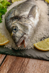 Whole raw sea bream fish on a bed of sea salt with lemon slices, preparing for a healthy seafood meal