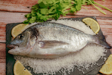 Fresh whole sea bream lying on a bed of rock salt, garnished with lemon slices and fresh cilantro on a wooden background
