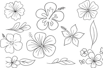 Black and White Hibiscus Outline Collection – Tropical Botanical Element