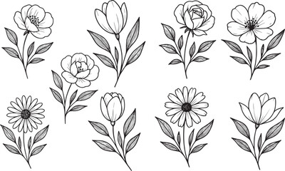 Minimalist Flower Line Drawings &ndash; Elegant Botanical Clipart Set