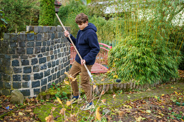 Teenager boy collecting leaves in the garden. Autumn work, raking leaves