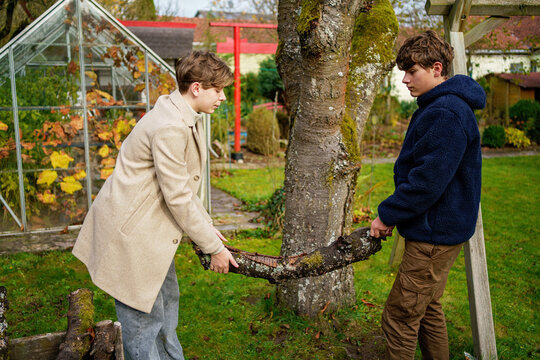 Two teenager boys, brothers collecting leaves in the garden. Autumn work, raking leaves