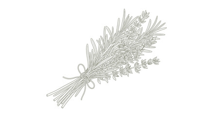 A detailed line art illustration of a bundle of lavender flowers tied with a string, presented on a white background.