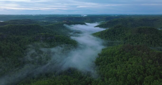 Morning mist over Red River Gorge, Kentucky in lush Appalachian landscape