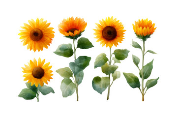 Naklejka premium Watercolor Sunflower Collection: Vibrant Floral Illustrations.