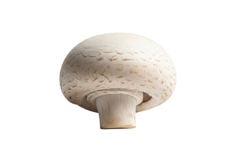 Single white button mushroom isolated on transparent background