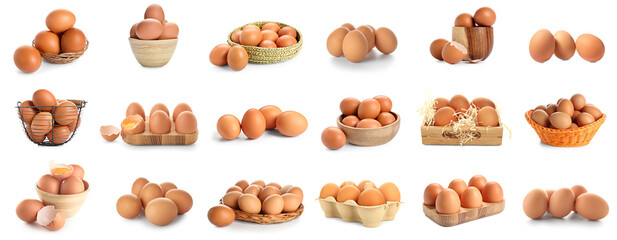 Fototapeta premium Set of raw chicken eggs on white background