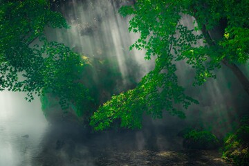 せせらぎのミスト