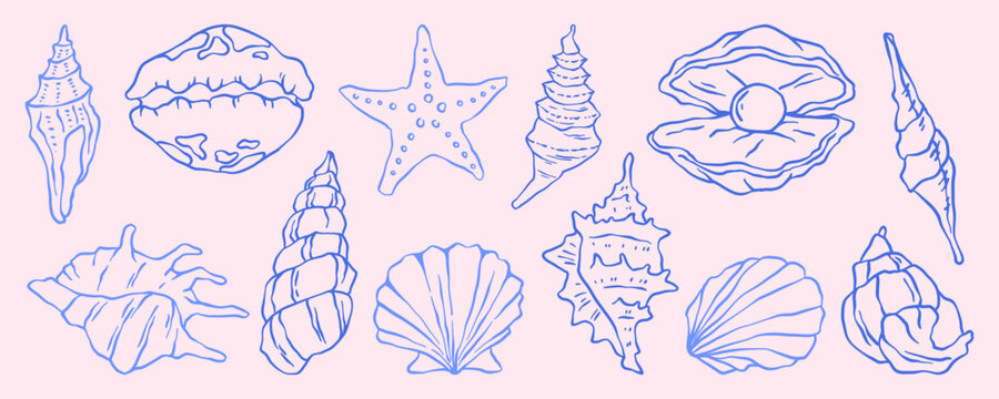 Vintage seashell and coastal doodle illustration with beach elements. Hand drawn scallop shell vector with ocean and nautical details in retro style. Marine sketch for summer travel designs.