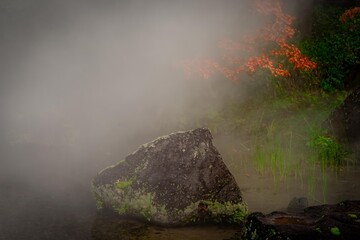 せせらぎのミスト