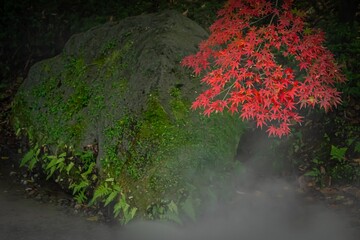 せせらぎのミスト