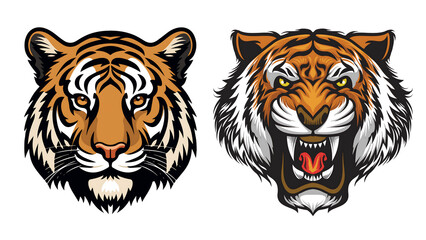 head tiger vector illustration