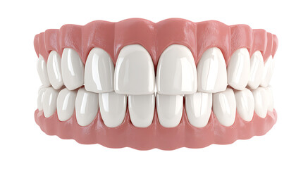 Fototapeta premium A realistic rendering of upper and lower human dentures teeth aligned