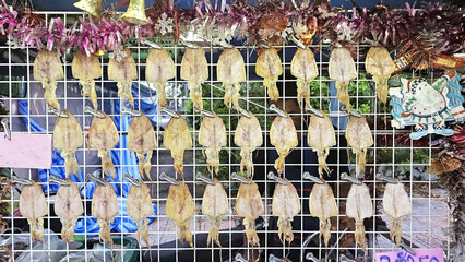 Dried Squid Display: A tantalizing array of dried squid hangs meticulously, showcasing a culinary delight from the sea, a unique display that hints at the savory and exotic flavors.