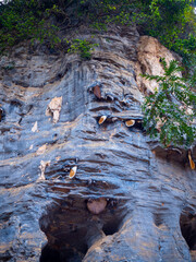 Colorful Cliff Face with Multiple Bee Hives in Tak, Thailand