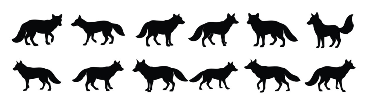 Set of fox silhouette illustration 