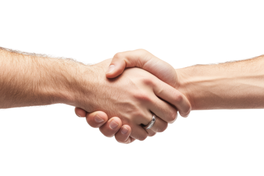 Handshake between tanned individuals
