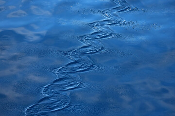 Spuren eines fliegenden Fischs die er auf der Oberfläche des Atlantiks zurücklässt