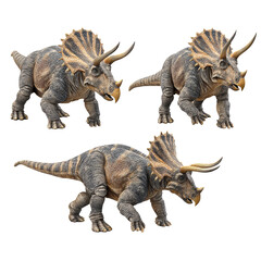 Fototapeta premium Triceratops dinosaur action figures set transparent background